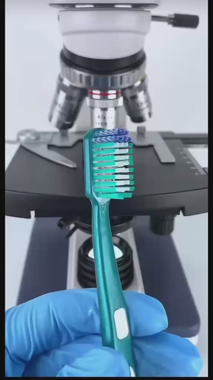 PureBrush™ 除菌歯ブラシスタンド